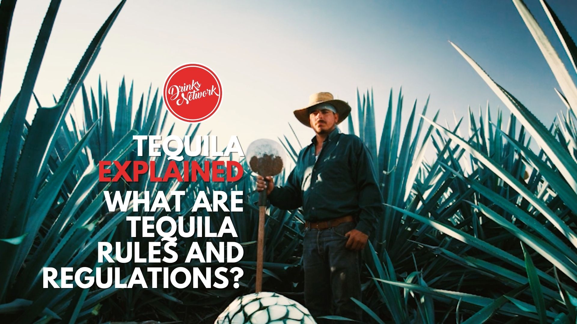 Tequila Explained course