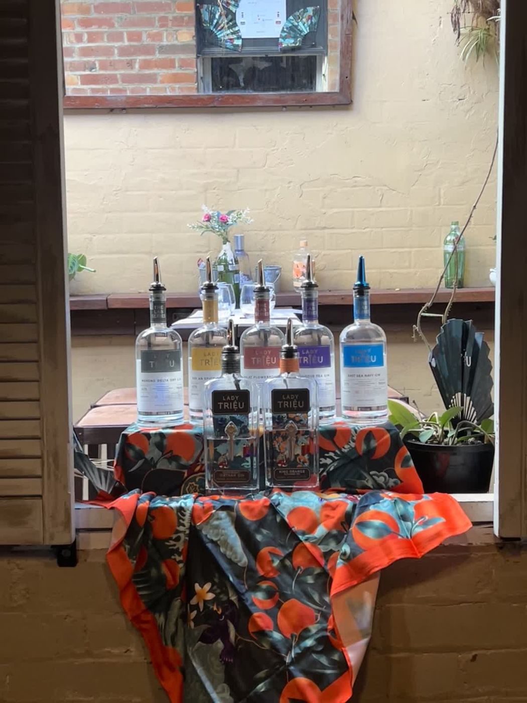 Gin bottles displayed for a tasting